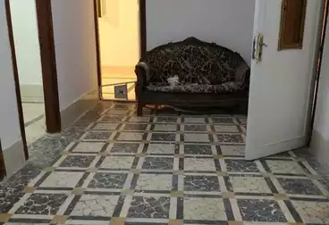 Apartments For rent - 4 rooms - floor 1