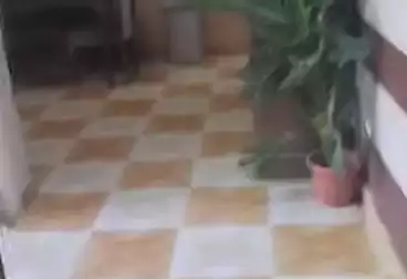 undefined undefined - 2 rooms - floor 8