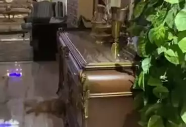 شقق للبيع - 3 غرف - بالدور 6