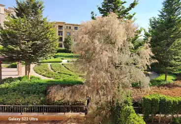 undefined undefined - 3 rooms - floor 1