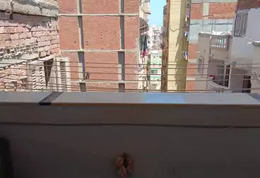 شقق للبيع - 3 غرف - بالدور 8