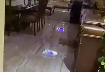 شقق للبيع - 3 غرف - بالدور 6