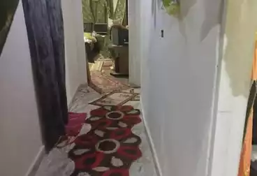 شقق مفروشة للبيع - 3 غرف - بالدور 1