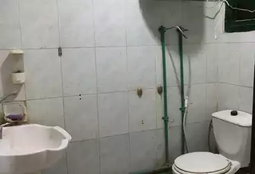 شقق للإيجار - 2 غرف - بالدور 2