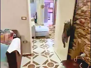 Properties For sale - 3 rooms - floor 2