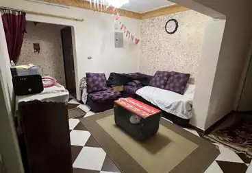 شقق للبيع - 3 غرف - بالدور 7