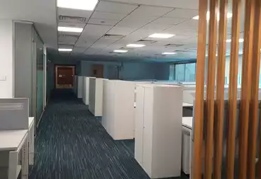 Offices For rent - 6 rooms - floor 6