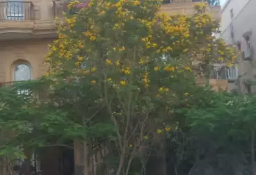 Apartments For sale - 3 rooms - floor 1