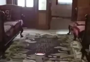 Apartments For rent - 2 rooms - floor 10