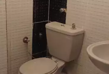 Apartments For rent - 2 rooms - floor 2