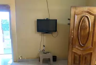 Studio For rent - 1 rooms - floor 13