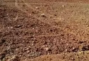 Residential Land For sale