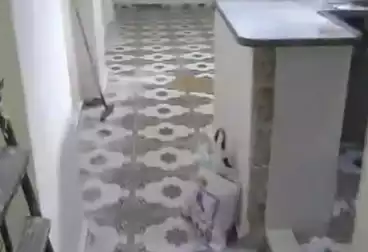 undefined undefined - 2 rooms - floor 1