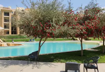 عقارات للإيجار - 2 غرف - بالدور 1