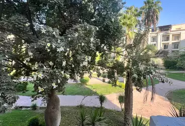 شقق للإيجار - 3 غرف - بالدور 1