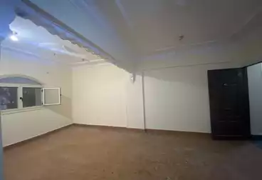 شقق للإيجار