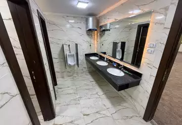 عقارات للإيجار - 2 غرف - بالدور 2