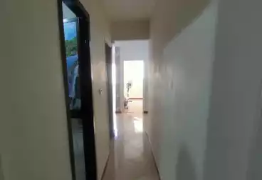 undefined undefined - 2 rooms - floor 7