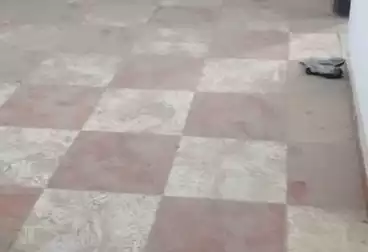 Apartments For rent - 3 rooms - floor 1