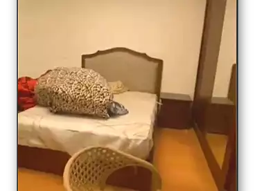 undefined undefined - 3 rooms - floor 1