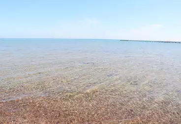 undefined undefined - 2 غرف - بالدور 1