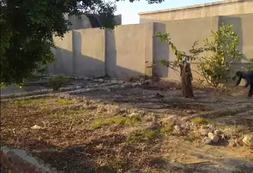 Separate Villa For sale - 4 rooms