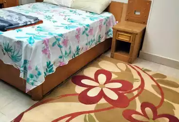 Furnished Apartment For rent - 2 rooms - floor 4