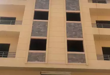 شقق للبيع - 3 غرف - بالدور 2