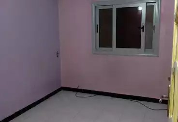 عقارات للإيجار - 2 غرف - بالدور 7