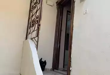 Apartments For rent - 3 rooms - floor 5