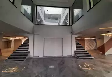 Properties For sale - 10 rooms