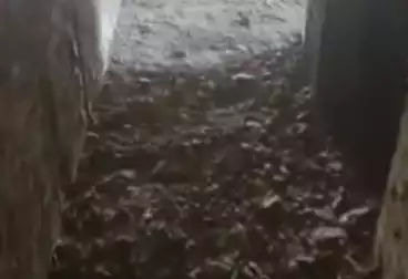 Properties For sale - 3 rooms - floor 10