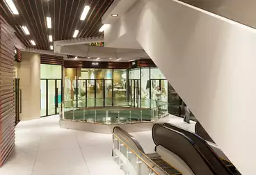 تجاري للبيع - بالدور 1