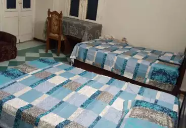 شقق مفروشة للإيجار - 3 غرف - بالدور 1