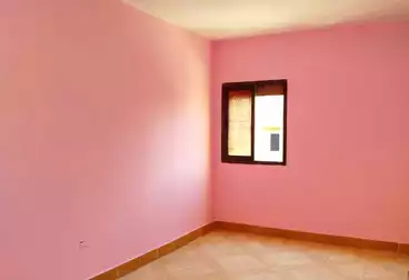 عقارات للإيجار - 3 غرف - بالدور 6