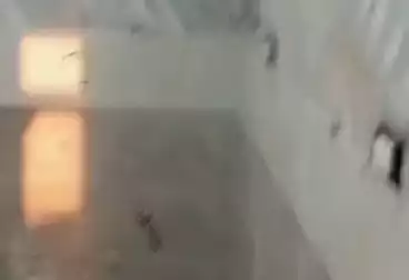 شقق للبيع - 3 غرف - بالدور 4