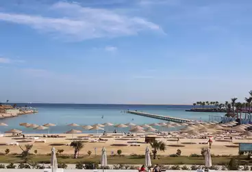 شقق للبيع - 1 غرف - بالدور 2