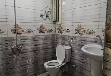 شقق للإيجار - 3 غرف - بالدور 10