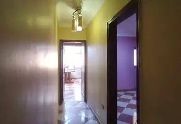 Apartments For rent - 3 rooms - floor 5