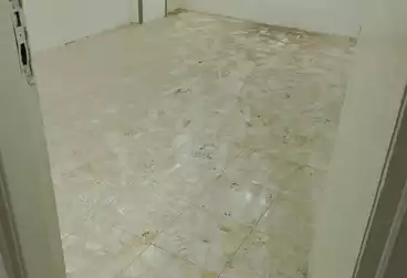 Apartments For rent - 2 rooms - floor 6