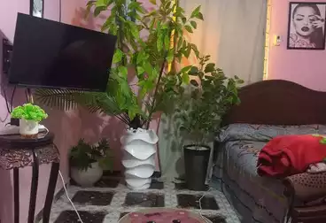 شقق للإيجار - 1 غرف - بالدور 7