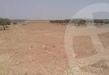 عقارات للبيع