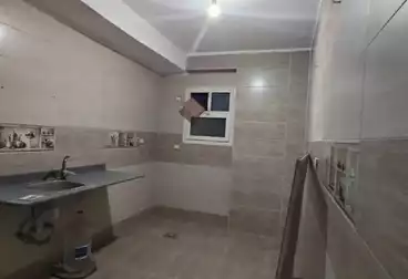 Apartments For rent - 3 rooms - floor 5