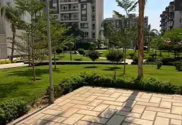 Properties For rent - 1 rooms - floor 1