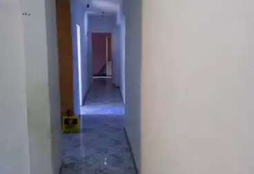 Apartments For rent - 2 rooms - floor 3