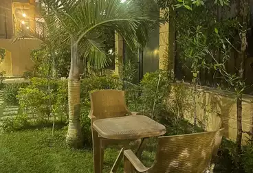 عقارات للإيجار - 2 غرف - بالدور 0