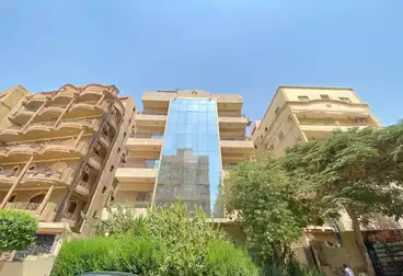 عقارات للإيجار - 15 غرف