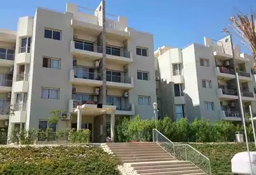 شقق للإيجار - 3 غرف - بالدور 1