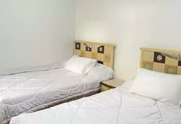 عقارات للإيجار - 3 غرف - بالدور 0