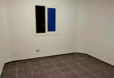 شقق للإيجار - 3 غرف - بالدور 6